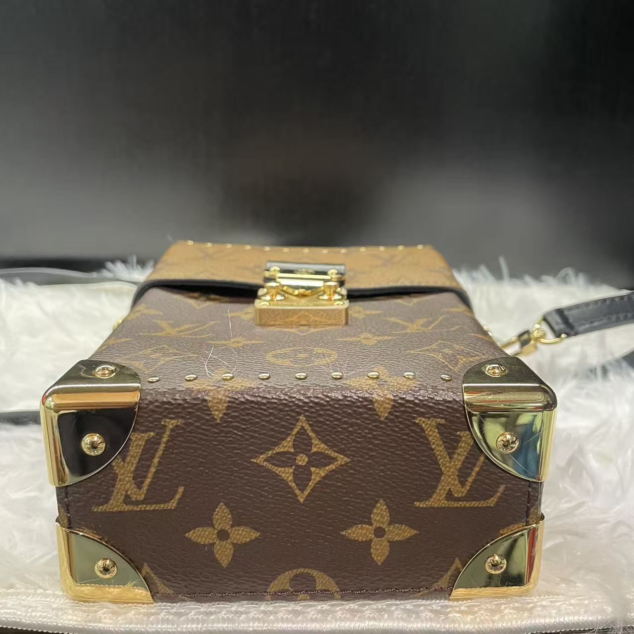 (Preowned) LOUIS VUITTON CAMERA BOX