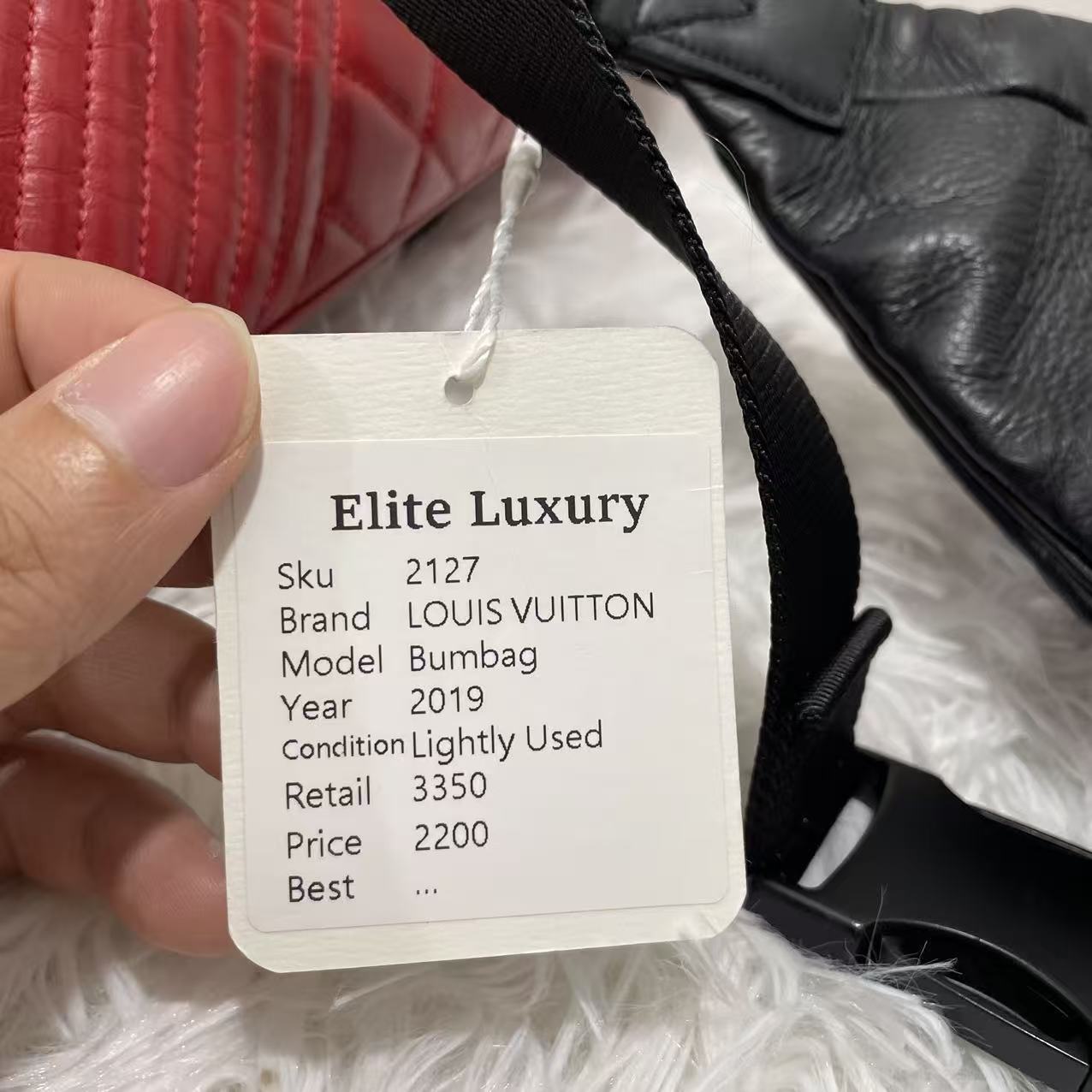 (Preowned) LOUIS VUITTON Bumbag